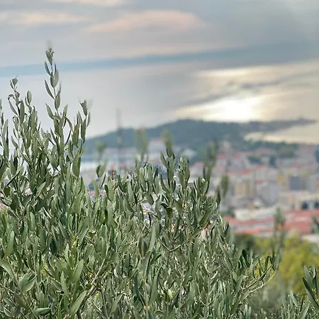 Apartments Antonella Bes Apartment Makarska